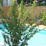 Le Patio Otel 3*